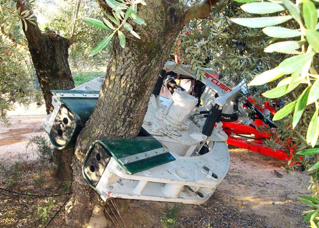 nut & olive tree shakers